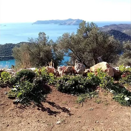 Deniz Manzaralı Doğanın Içerisinde Ahşap Ev Dağ evi *