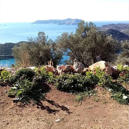 Deniz Manzarali Doganin Icerisinde Ahsap Ev Chalet *